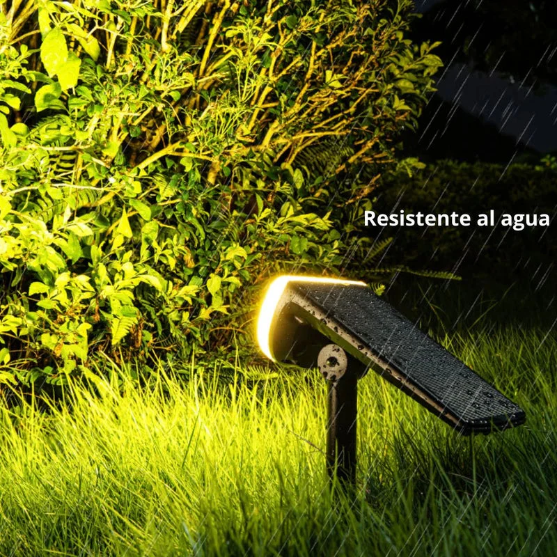 Imagen del producto 2