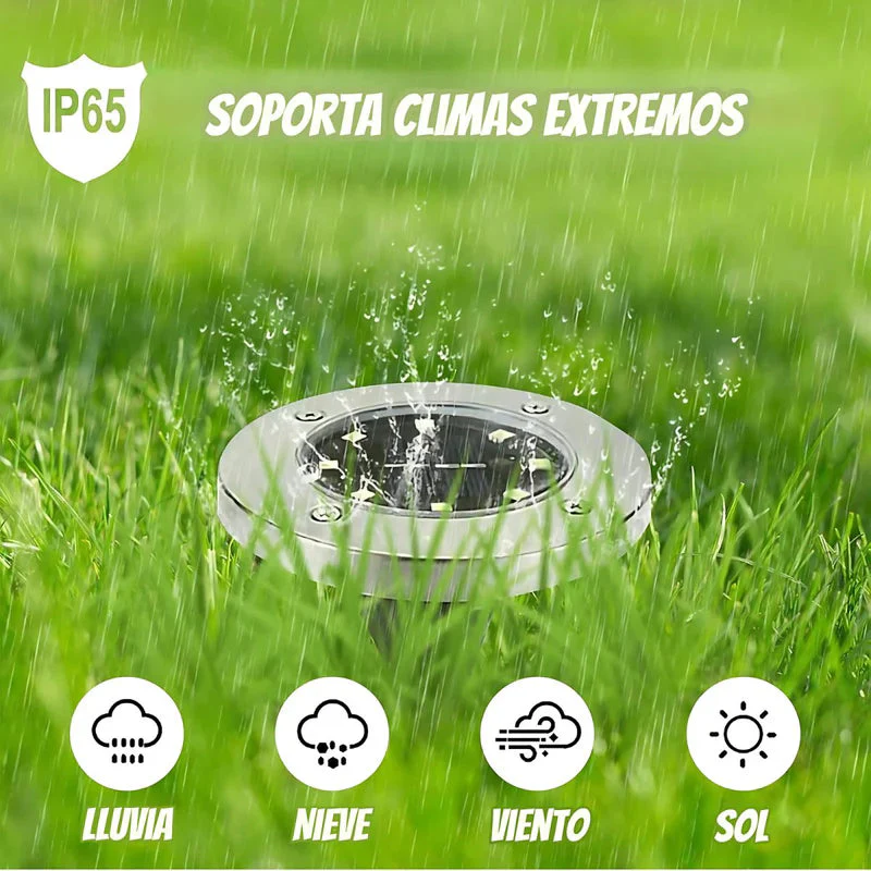Imagen del producto 5